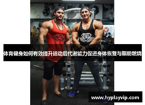 体育健身如何有效提升运动后代谢能力促进身体恢复与脂肪燃烧
